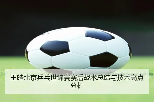 王皓北京乒乓世锦赛赛后战术总结与技术亮点分析