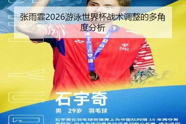 zhang-yu-fei-you-yong-shi-jie-bei-zhan-shu-tiao-zheng-de-duo-jiao-du-fen-xi-2-736.jpg