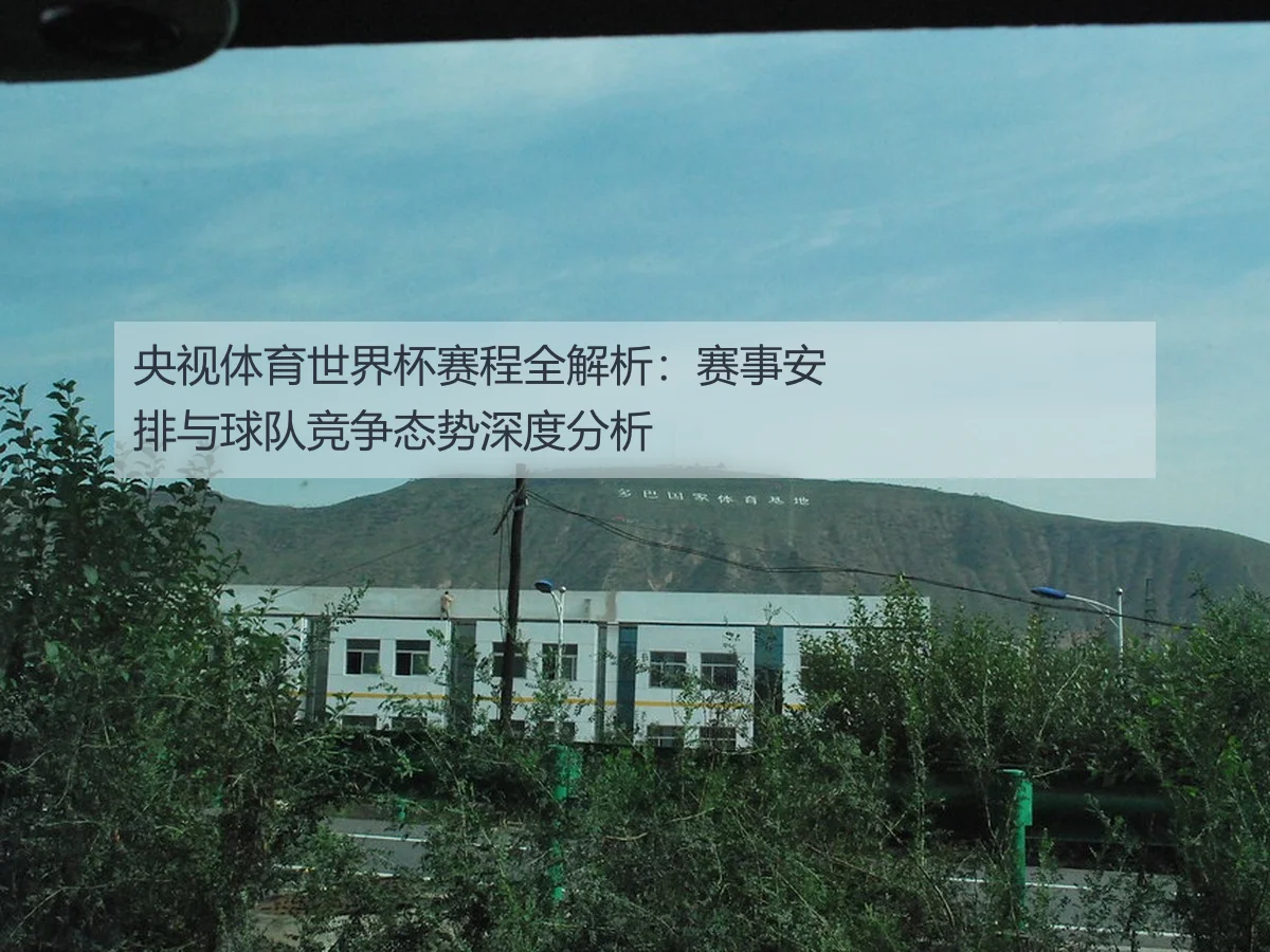 央视体育世界杯赛程全解析：赛事安排与球队竞争态势深度分析